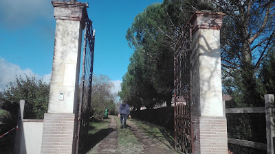 Haras de Saiguède à Saiguède