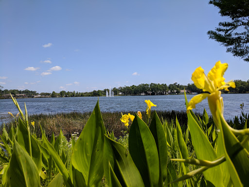 Park «Lake Concord Park», reviews and photos, 95 Triplet Lake Dr, Casselberry, FL 32707, USA