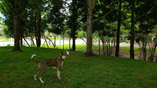 Park «Berrydale Park», reviews and photos, SE Taylor St, Portland, OR 97216, USA