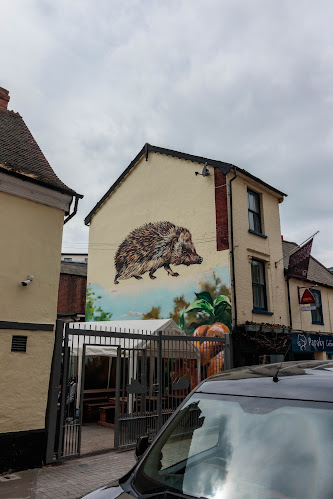 Swan and Hedgehog Inn - Pub