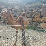 Photo n°10 de l'avis de Silvie. fait le 09/09/2023 à 16:14 sur le  Il Casolare delle Balze à Bronte