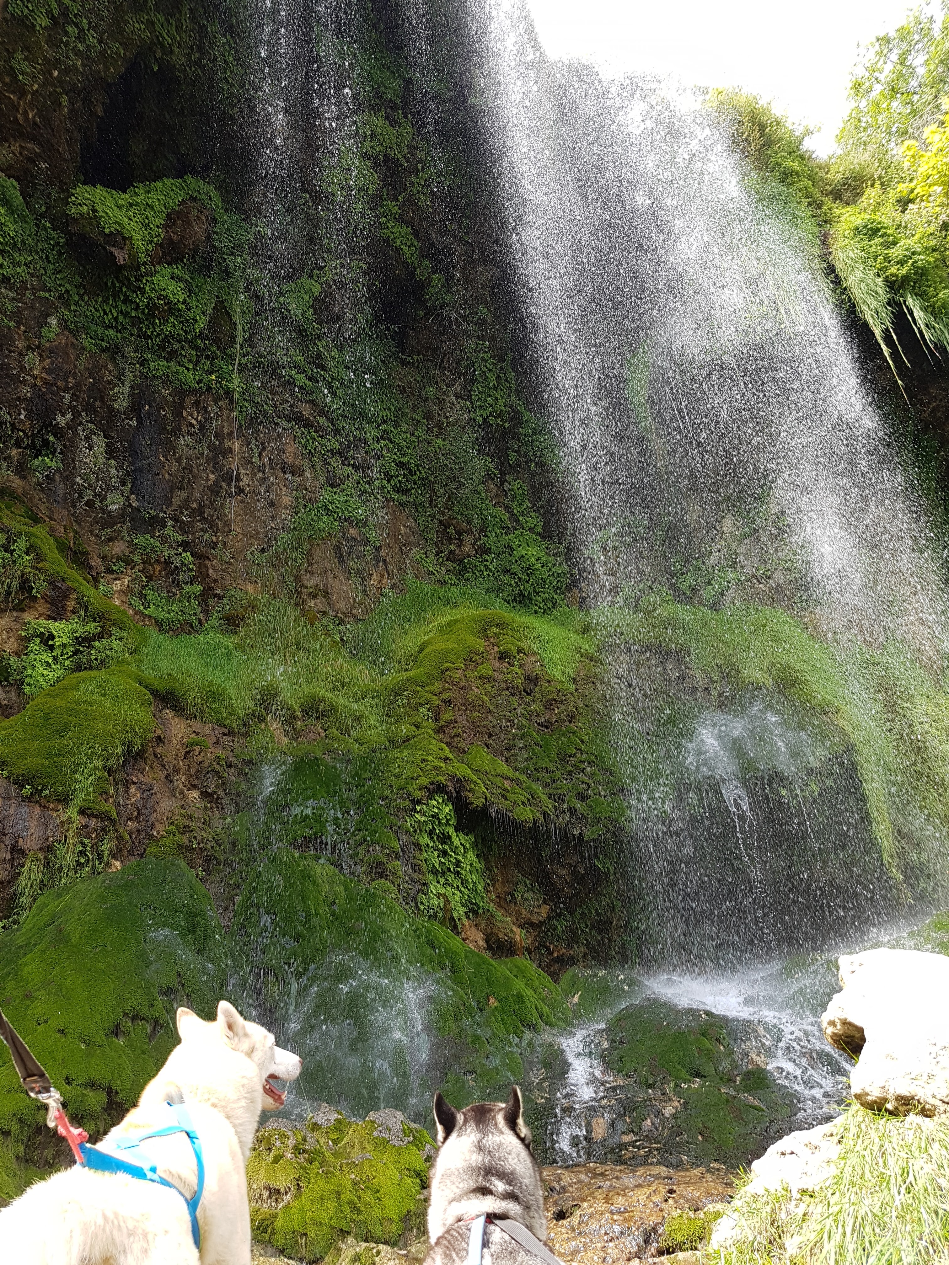 Photo n° 1 de l'avis de Vanessa.O fait le 02/09/2018 à 18:12