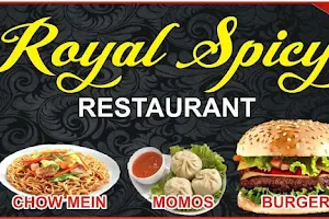 Royal spicy restaurant image