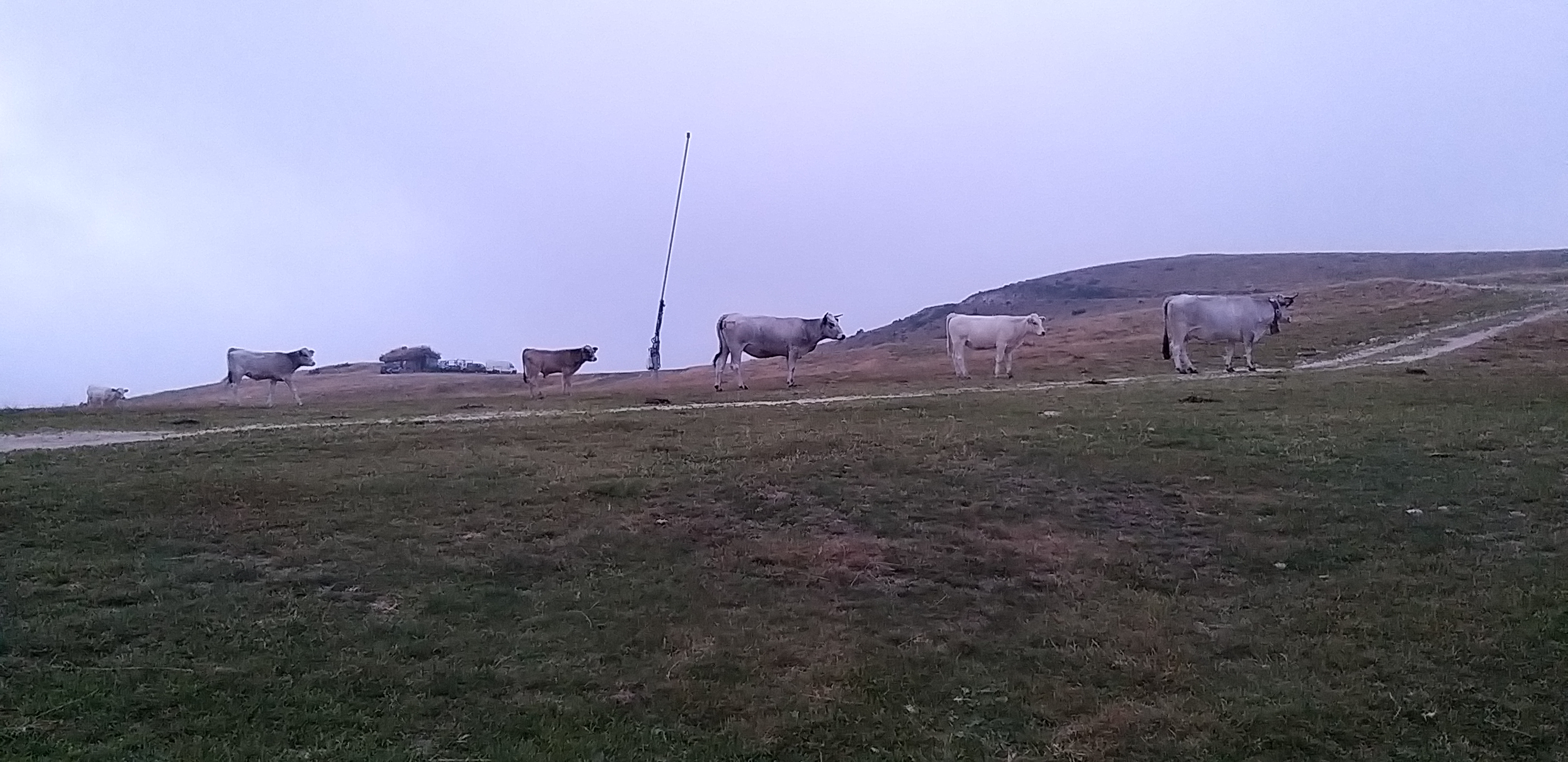 Photo n° 1 de l'avis de DELAHAY.E fait le 22/08/2020 à 18:17