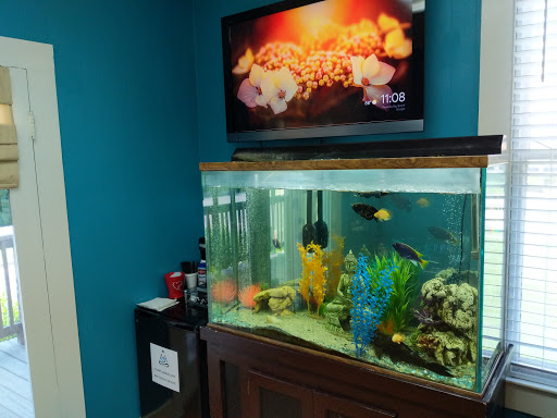 Computer Repair Service «Dot Calm», reviews and photos, 1101 Government St, Baton Rouge, LA 70802, USA