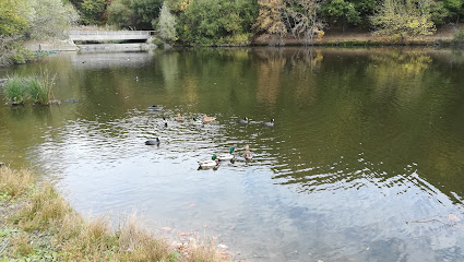 Etang des Roussières