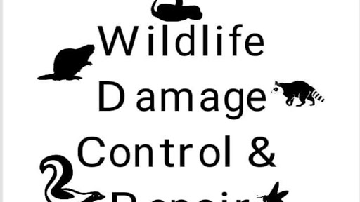 Wildlife Damage Control and Repair