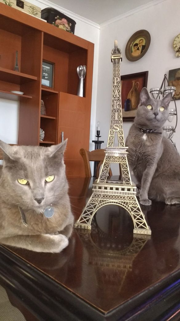 Photo n° 1 de l'avis de Marcia.o fait le 06/11/2017 à 01:30