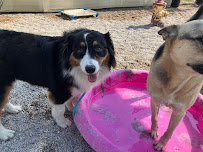 Bark & Biscuit - Photo 5 - Car repair in South Salt Lake, UT, Salt Lake City