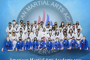 American Martial Arts Academy - Naperville image