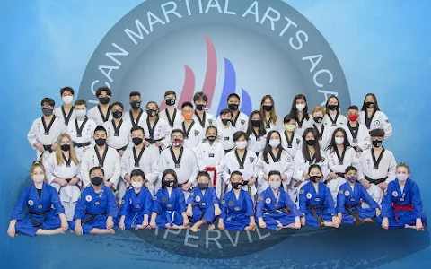 American Martial Arts Academy - Naperville image