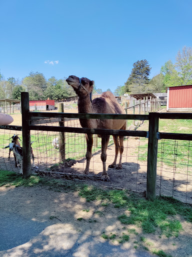 Zoo «Little Ponderosa Zoo and Rescue», reviews and photos, 629 Granite Rd, Clinton, TN 37716, USA