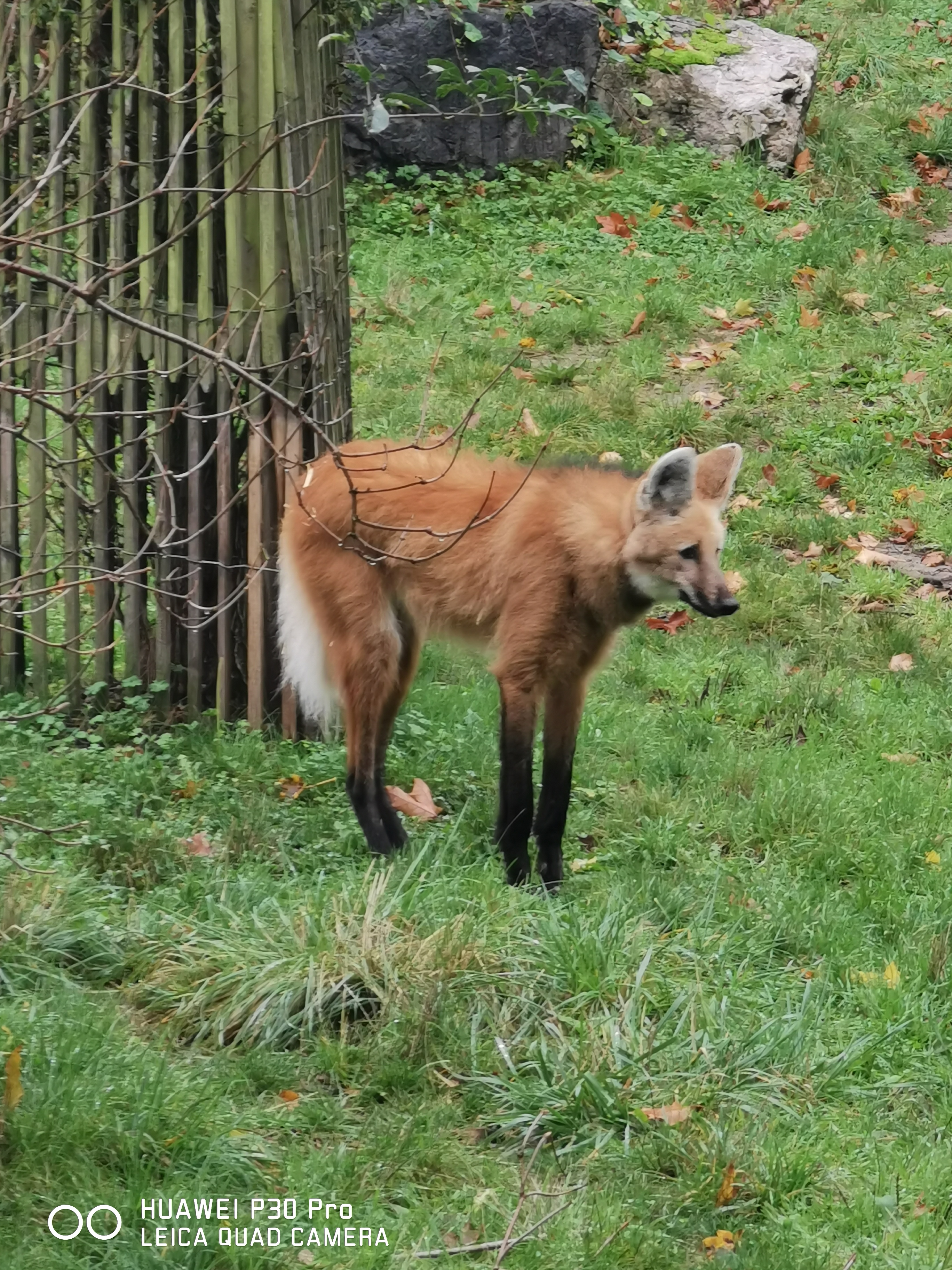 Photo n° 10 de l'avis de sulivan.u fait le 30/10/2023 à 12:42