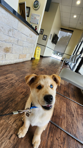 North Channel Animal Hospital