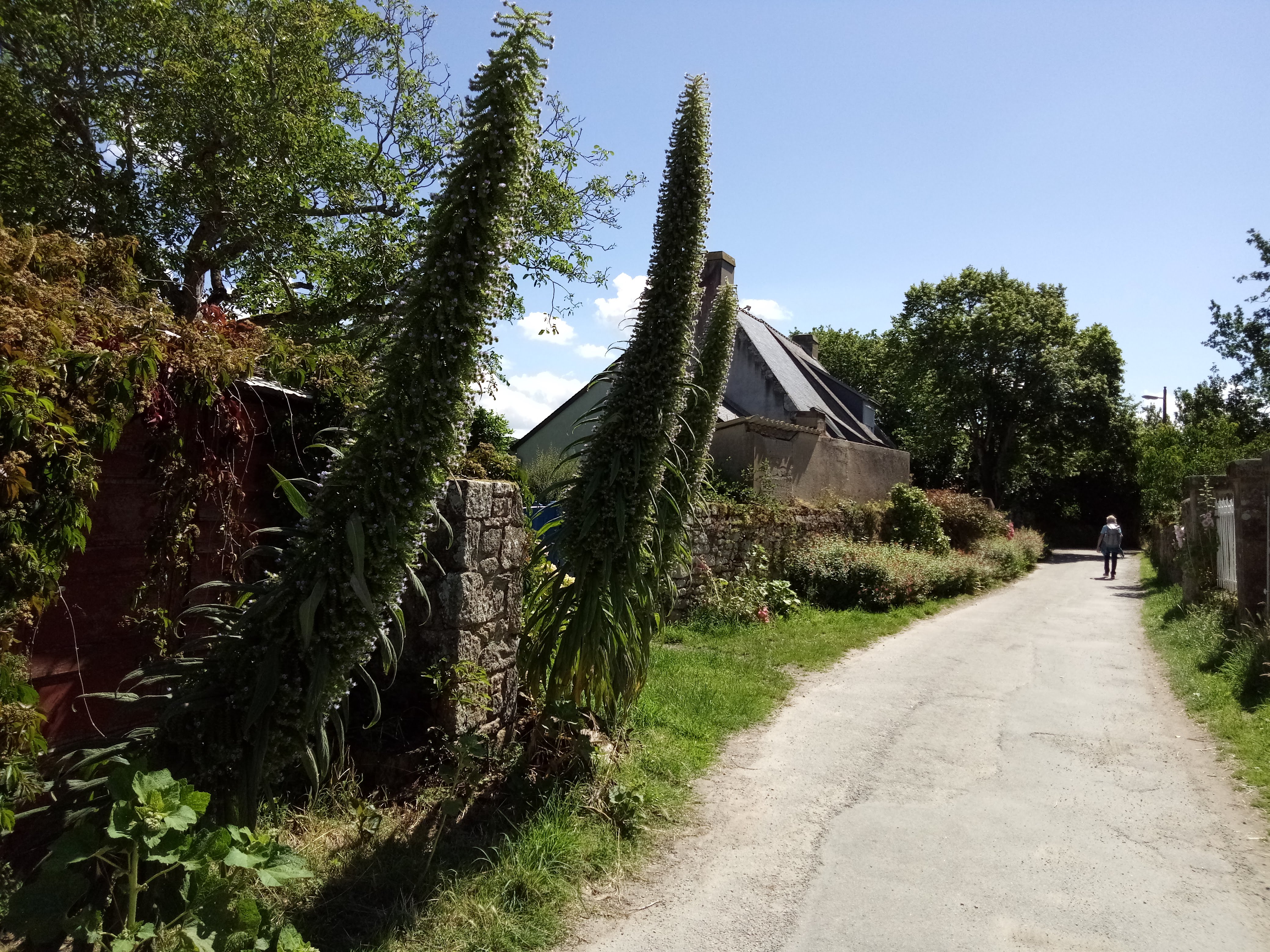 Photo n° 22 de l'avis de Jean.a fait le 21/06/2019 à 18:36
