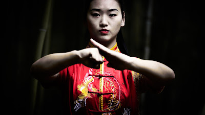 Kung Fu Club Choletais à Cholet