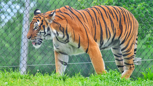 Zoo «Tulsa Zoo», reviews and photos, 6421 E 36th St N, Tulsa, OK 74115, USA