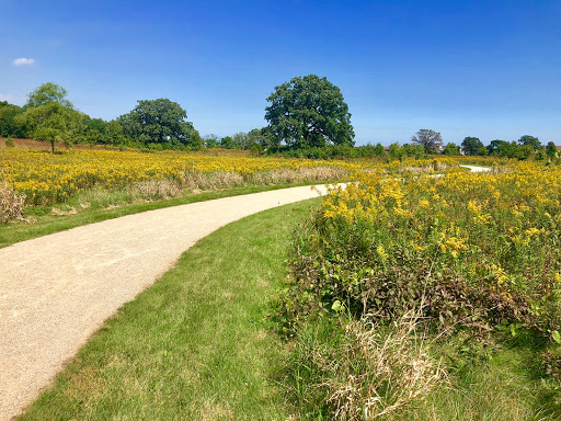 Nature Preserve «McDonald Woods Forest Preserve», reviews and photos, 19611 W Grass Lake Rd, Lake Villa, IL 60046, USA