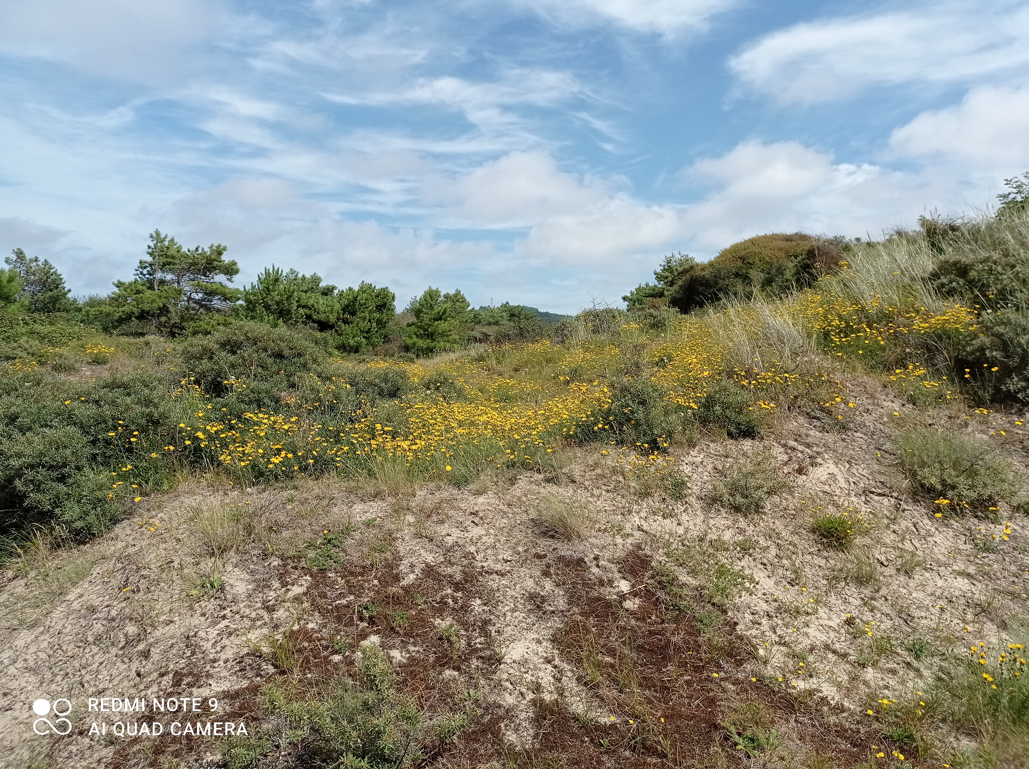 Photo n° 6 de l'avis de Michael.u fait le 15/08/2021 à 18:06