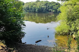 Knypersley Reservoir image