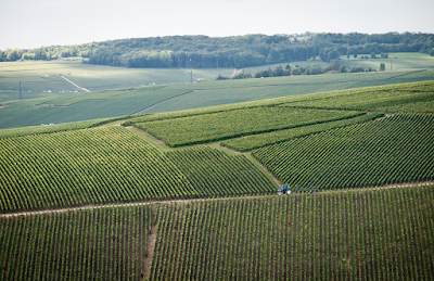 Champagne Gratiot-Pillière à Charly-sur-Marne