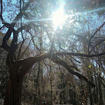 Photo n°11 de l'avis de Domenico.i fait le 14/03/2022 à 07:32 sur le  Trattoria Mirasole à Bassano del Grappa