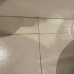 Photo n°2 de l'avis de Marcel.c fait le 07/04/2023 à 18:59 sur le  Hotel Restaurant Happy Bad Bramstedt à Bad Bramstedt