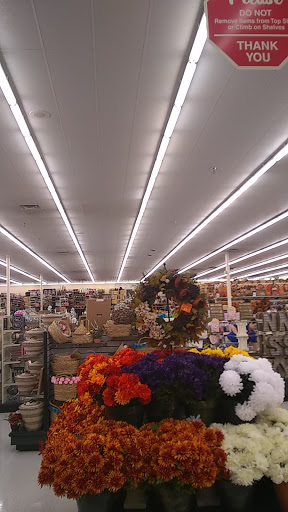 Craft Store «Hobby Lobby», reviews and photos, 8370 Agora Pkwy, Selma, TX 78154, USA