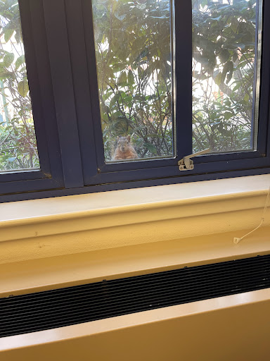 Art Museum «Jordan Schnitzer Museum of Art», reviews and photos, 1430 Johnson Lane, Eugene, OR 97403, USA