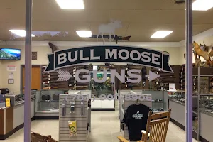 Bull Moose Guns image