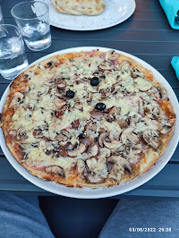 Plats et boissons du Pizzeria Nico's pizza à Cestas - n°1