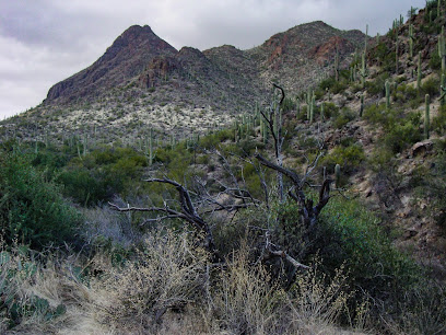 Santa Rita Experimental Range and Wildlife Area