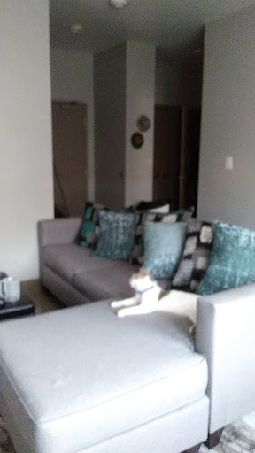 Appliance Store «Sears Outlet», reviews and photos, 9630 Kingston Pike, Knoxville, TN 37922, USA