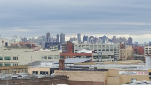 Dollar Store «Dollar Tree», reviews and photos, 3909 Queens Blvd, Sunnyside, NY 11104, USA