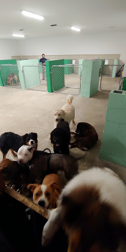 Pampered Paws Salon LLC