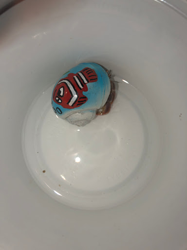 Pet Supply Store «Petco Animal Supplies», reviews and photos, 2520 E 3rd St, Bloomington, IN 47401, USA