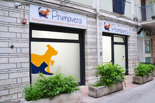 Pensioni per cani e dog hotel a Spring Clinica Veterinaria Urgent Care h24 Palermo