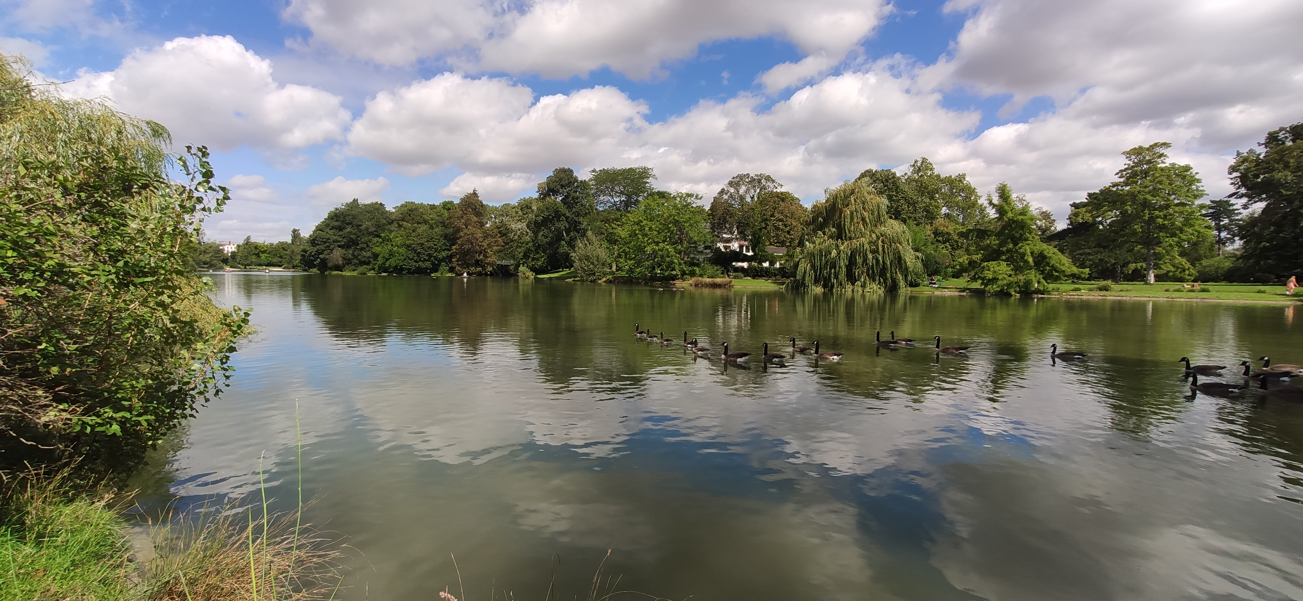 Photo n° 21 de l'avis de Claude.Q fait le 15/08/2023 à 14:52