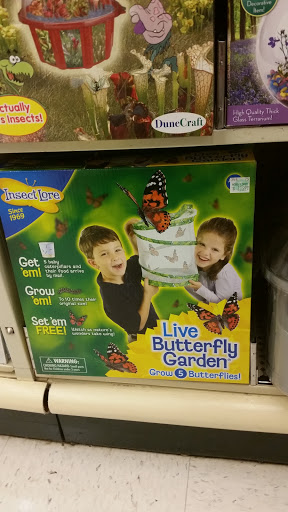 Craft Store «Hobby Lobby», reviews and photos, 200 Ridge Way, Flowood, MS 39232, USA