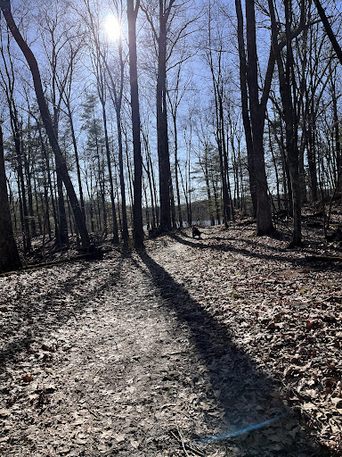 Middletown Reservoir Trails Main Parking