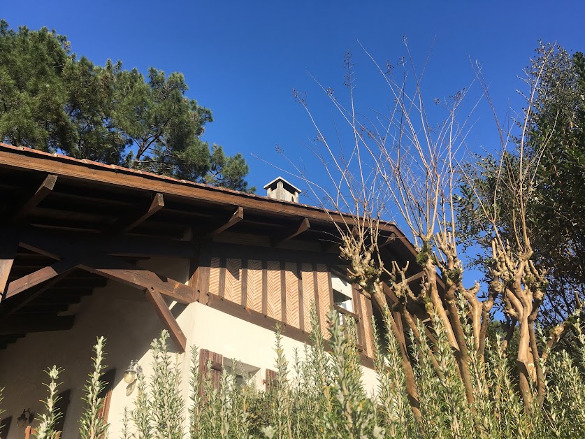 La maison des marcassins à Soorts-Hossegor (Landes 40)