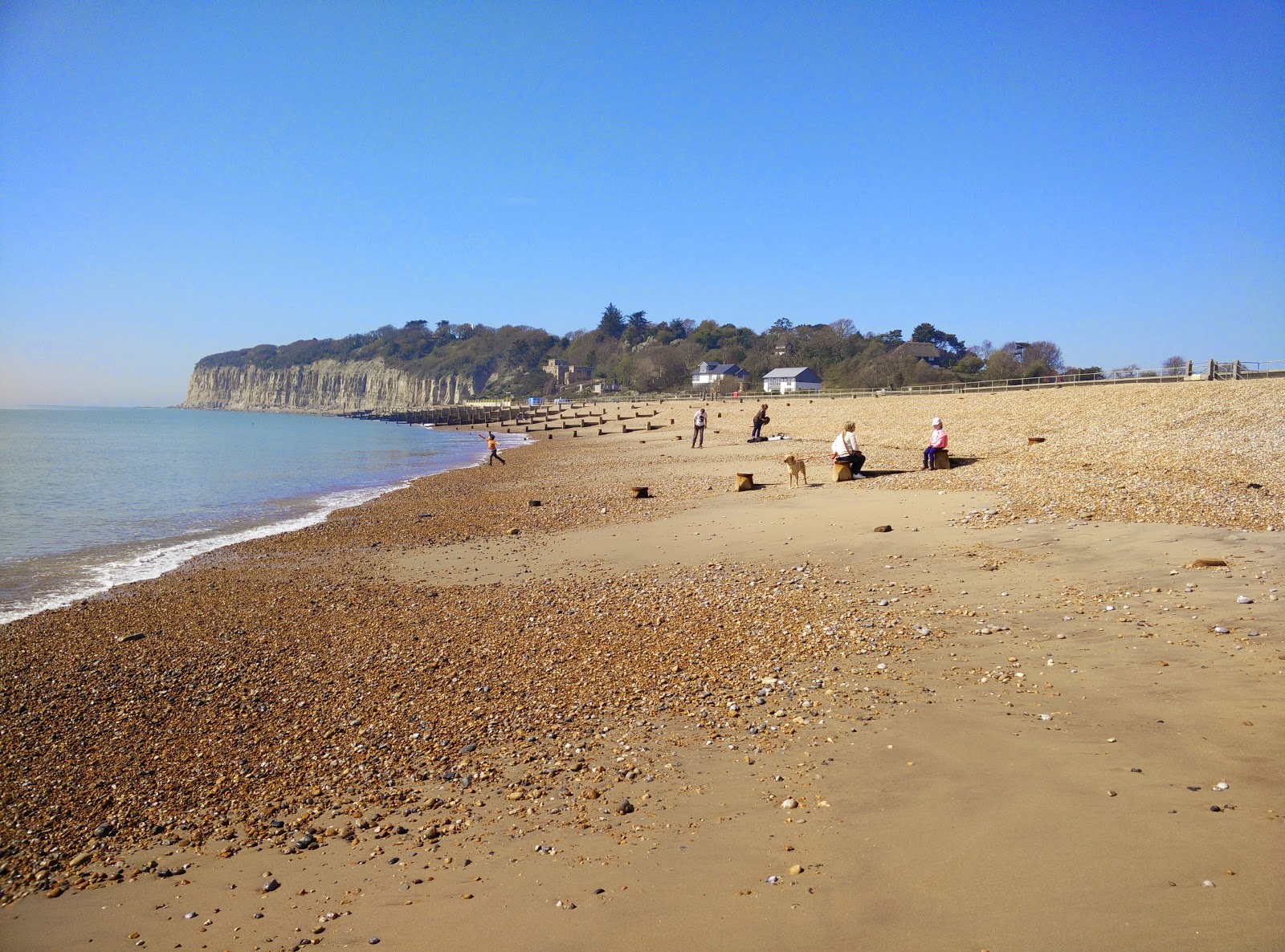 Pett Level beach'in fotoğrafı çok temiz temizlik seviyesi ile