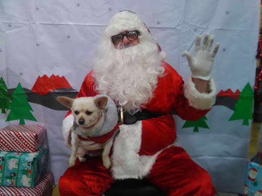 Pet Supply Store «PetSmart», reviews and photos, 4824 211th St, Matteson, IL 60443, USA