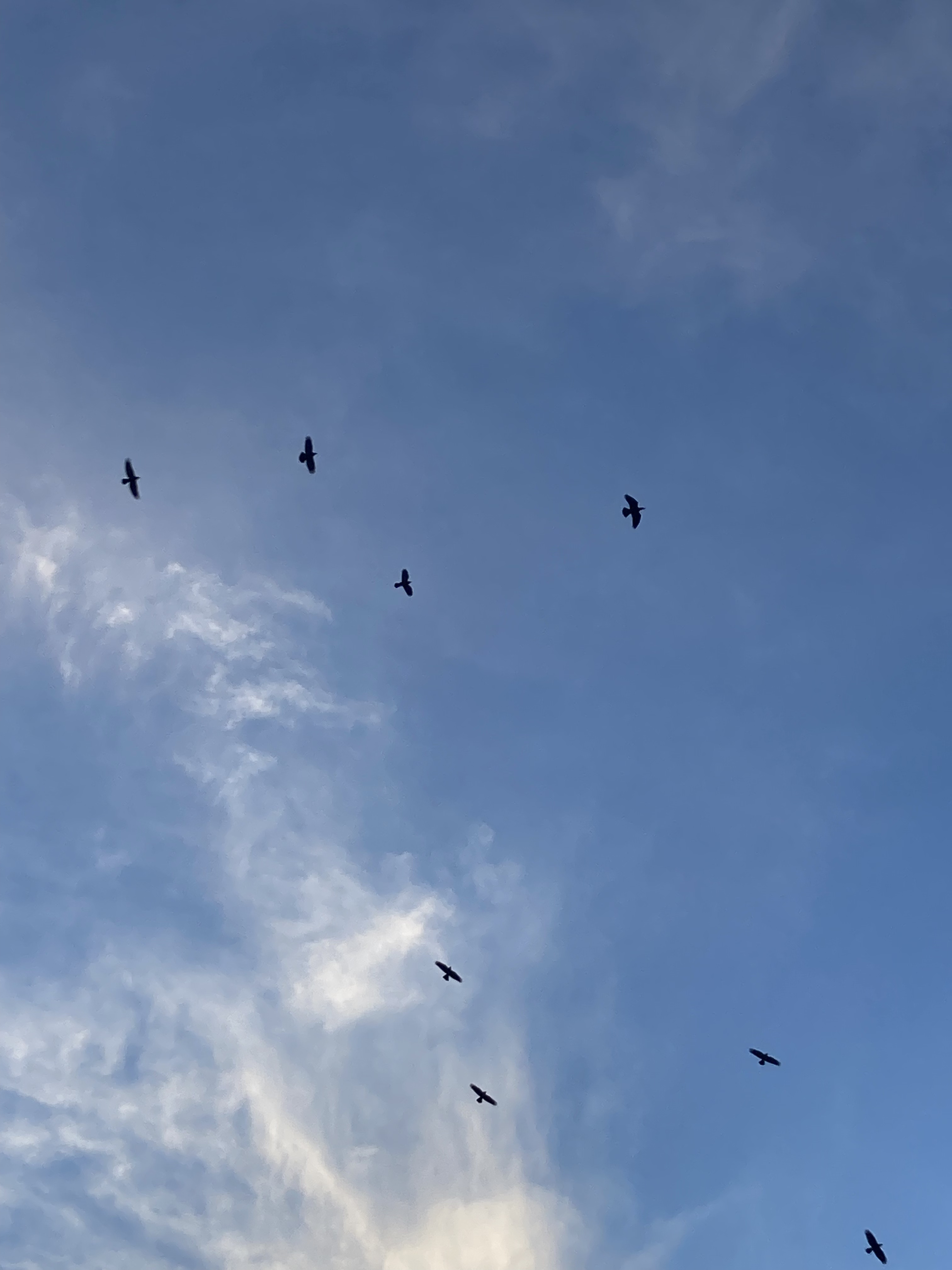 Photo n° 8 de l'avis de prebay.r fait le 31/03/2023 à 07:39