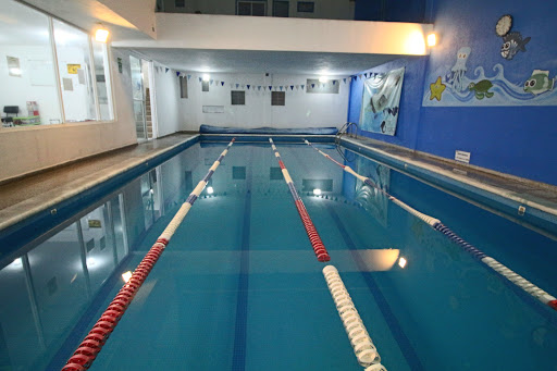 Club Natación - San Felipe