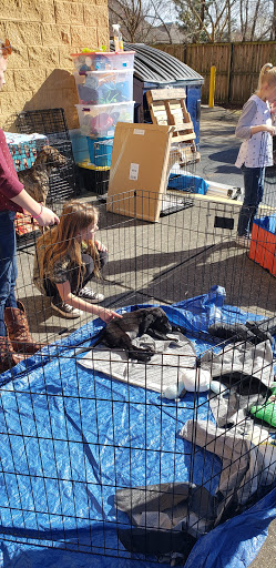 Pet Supply Store «PetSmart», reviews and photos, 45 Park Pl Dr, Covington, LA 70433, USA