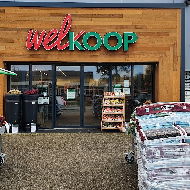 Welkoop Sint-Annaparochie