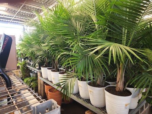 Home Improvement Store «The Home Depot», reviews and photos, 1303 Rivery Blvd, Georgetown, TX 78626, USA