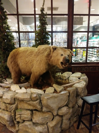 Shopping Mall «Cincinnati Mall», reviews and photos, 600 Cincinnati Mills Dr, Cincinnati, OH 45240, USA