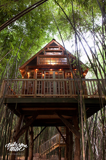 Atlanta Alpaca Treehouse in the Bamboo Forest